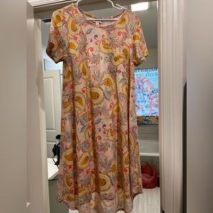 Lularoe Dress new never worn no rips, stains.
